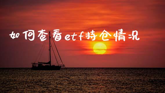 如何查看etf持仓情况_https://wap.sdxiaoxijinshu.com_财经_第1张