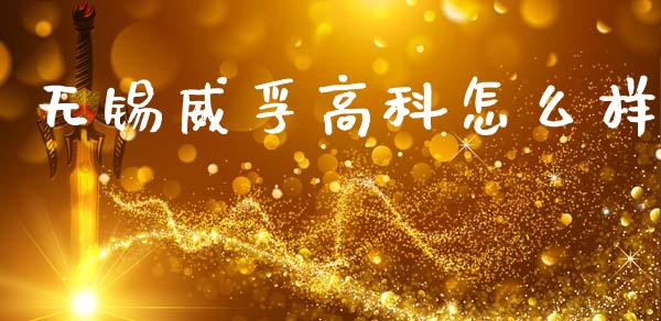 无锡威孚高科怎么样_https://wap.sdxiaoxijinshu.com_期货_第1张