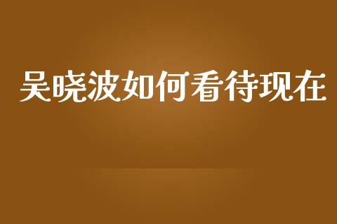 吴晓波如何看待现在_https://wap.sdxiaoxijinshu.com_期货_第1张