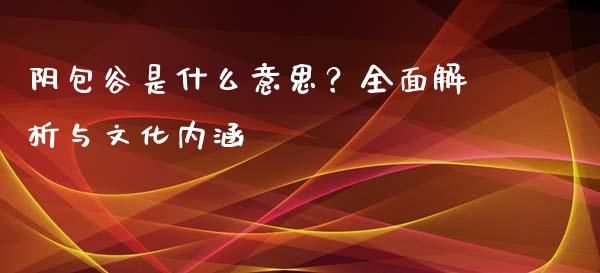 阴包谷是什么意思？全面解析与文化内涵_https://wap.sdxiaoxijinshu.com_期货_第1张