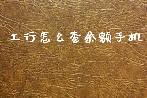 工行怎么查余额手机_https://wap.sdxiaoxijinshu.com_理财_第1张
