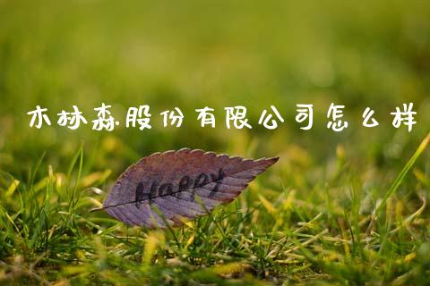 木林森股份有限公司怎么样_https://wap.sdxiaoxijinshu.com_财经_第1张