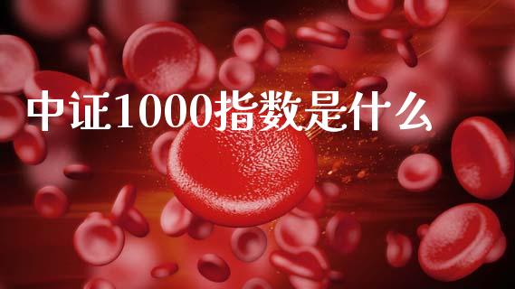 中证1000指数是什么_https://wap.sdxiaoxijinshu.com_财经_第1张