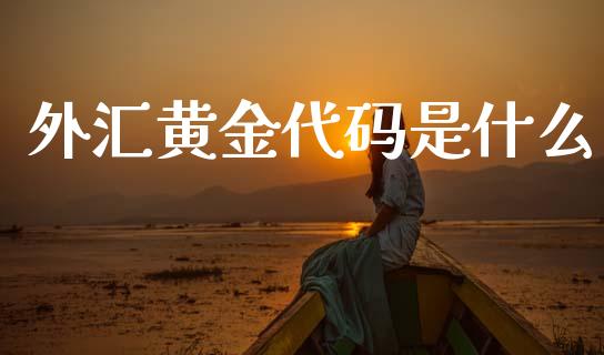 外汇黄金代码是什么_https://wap.sdxiaoxijinshu.com_财经_第1张