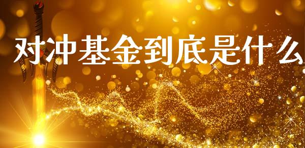 对冲基金到底是什么_https://wap.sdxiaoxijinshu.com_期货_第1张