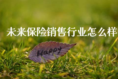 未来保险销售行业怎么样_https://wap.sdxiaoxijinshu.com_理财_第1张