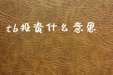 tb投资什么意思_https://wap.sdxiaoxijinshu.com_期货_第1张