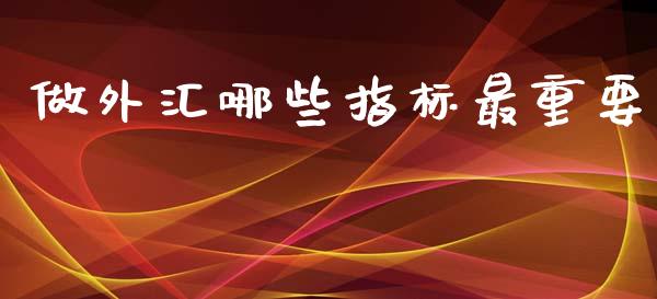 做外汇哪些指标最重要_https://wap.sdxiaoxijinshu.com_财经_第1张