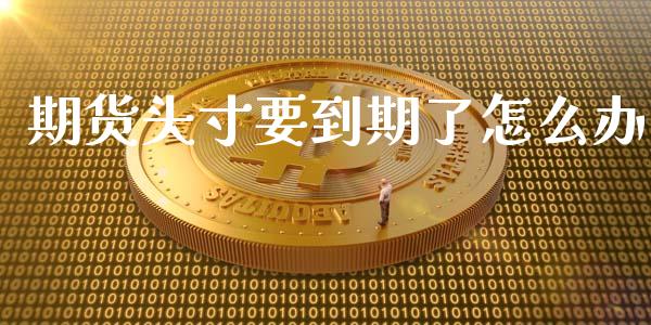 期货头寸要到期了怎么办_https://wap.sdxiaoxijinshu.com_期货_第1张