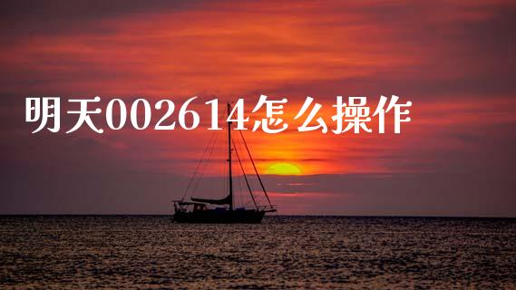 明天002614怎么操作_https://wap.sdxiaoxijinshu.com_期货_第1张
