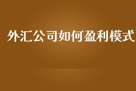 外汇公司如何盈利模式_https://wap.sdxiaoxijinshu.com_财经_第1张