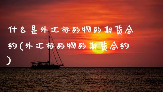 什么是外汇标的物的期货合约(外汇标的物的期货合约)_https://wap.sdxiaoxijinshu.com_金融_第1张