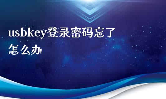 usbkey登录密码忘了怎么办_https://wap.sdxiaoxijinshu.com_金融_第1张