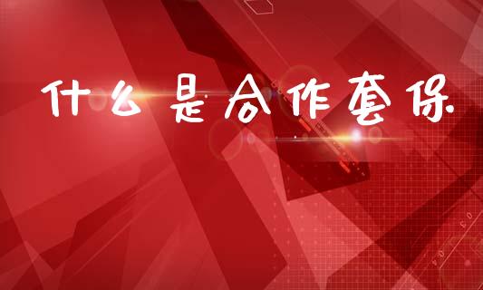 什么是合作套保_https://wap.sdxiaoxijinshu.com_期货_第1张