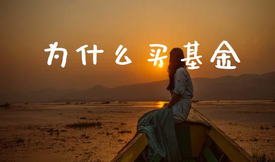 为什么买基金_https://wap.sdxiaoxijinshu.com_财经_第1张