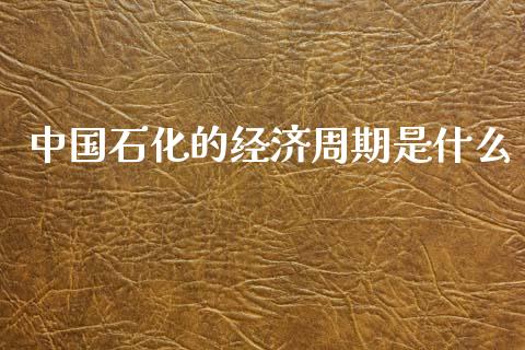 中国石化的经济周期是什么_https://wap.sdxiaoxijinshu.com_财经_第1张