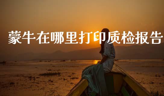蒙牛在哪里打印质检报告_https://wap.sdxiaoxijinshu.com_金融_第1张