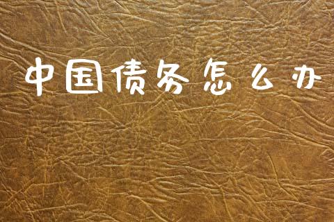 中国债务怎么办_https://wap.sdxiaoxijinshu.com_财经_第1张