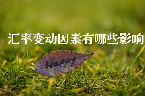 汇率变动因素有哪些影响_https://wap.sdxiaoxijinshu.com_财经_第1张