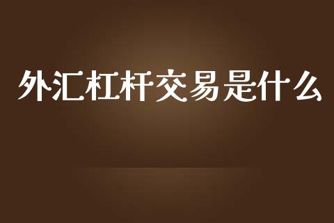 外汇杠杆交易是什么_https://wap.sdxiaoxijinshu.com_财经_第1张