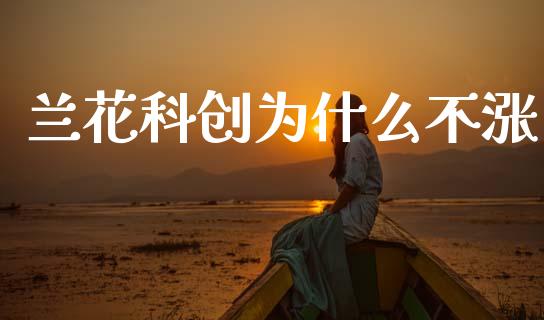 兰花科创为什么不涨_https://wap.sdxiaoxijinshu.com_金融_第1张