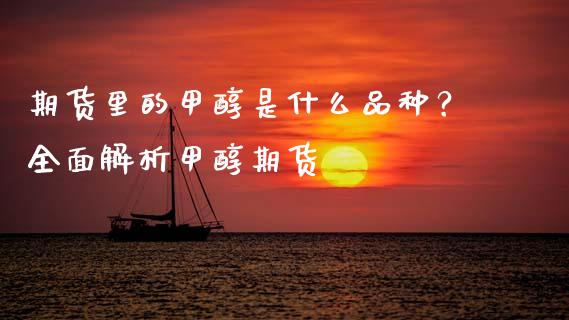 期货里的甲醇是什么品种?全面解析甲醇期货_理财_第1张_金融万问站 期货里的甲醇是什么品种?全面解析甲醇期货_https://wap.sdxiaoxijinshu.com_理财_第1张