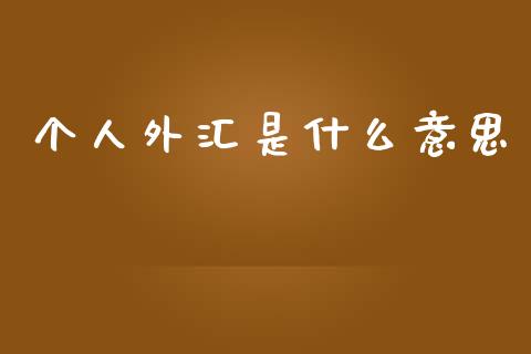个人外汇是什么意思_https://wap.sdxiaoxijinshu.com_财经_第1张