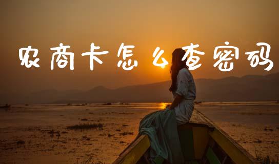 农商卡怎么查密码_https://wap.sdxiaoxijinshu.com_金融_第1张