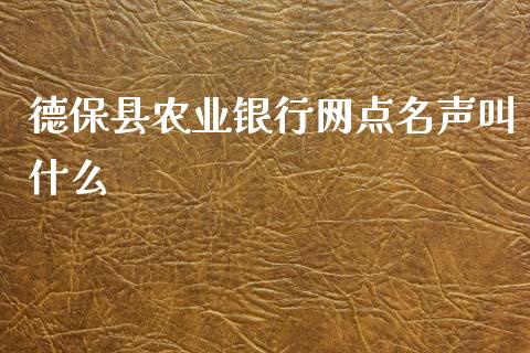 德保县农业银行网点名声叫什么_https://wap.sdxiaoxijinshu.com_金融_第1张