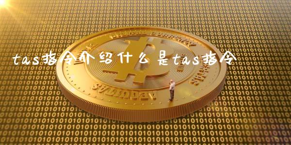 tas指令介绍什么是tas指令_https://wap.sdxiaoxijinshu.com_期货_第1张