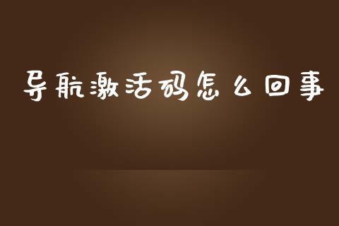导航激活码怎么回事_https://wap.sdxiaoxijinshu.com_金融_第1张