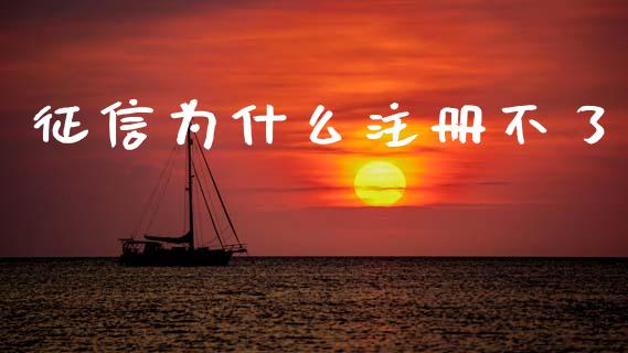 征信为什么注册不了_https://wap.sdxiaoxijinshu.com_金融_第1张