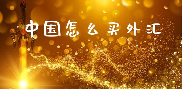 中国怎么买外汇_https://wap.sdxiaoxijinshu.com_财经_第1张
