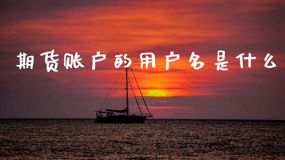 期货账户的用户名是什么_https://wap.sdxiaoxijinshu.com_期货_第1张