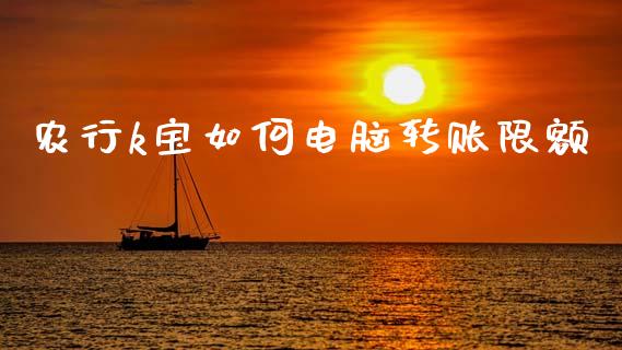 农行k宝如何电脑转账限额_https://wap.sdxiaoxijinshu.com_理财_第1张