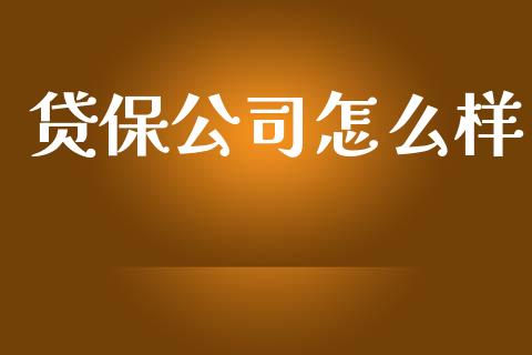 贷保公司怎么样_https://wap.sdxiaoxijinshu.com_金融_第1张