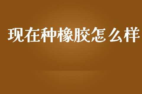 现在种橡胶怎么样_https://wap.sdxiaoxijinshu.com_理财_第1张