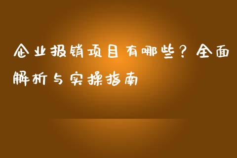 企业报销项目有哪些？全面解析与实操指南_https://wap.sdxiaoxijinshu.com_金融_第1张