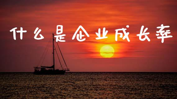 什么是企业成长率_https://wap.sdxiaoxijinshu.com_金融_第1张