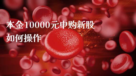 本金10000元申购新股如何操作_https://wap.sdxiaoxijinshu.com_期货_第1张