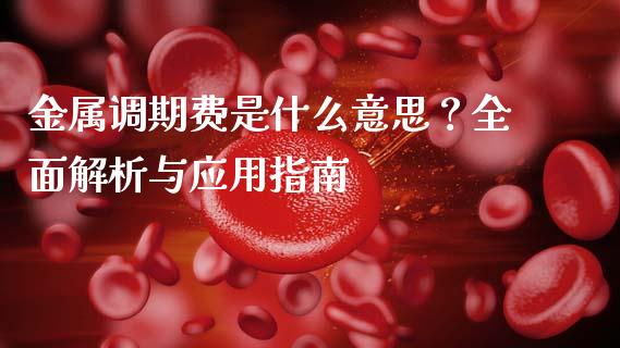 金属调期费是什么意思？全面解析与应用指南_https://wap.sdxiaoxijinshu.com_财经_第1张