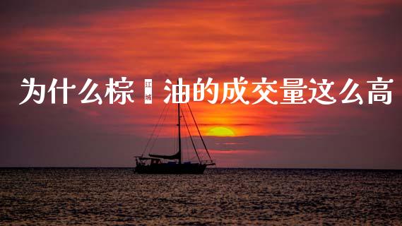 为什么棕榈油的成交量这么高_https://wap.sdxiaoxijinshu.com_金融_第1张