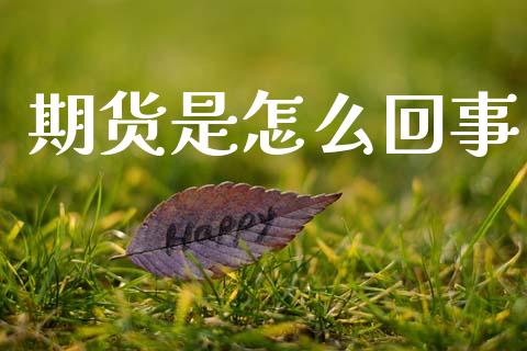 期货是怎么回事_https://wap.sdxiaoxijinshu.com_期货_第1张