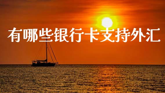 有哪些银行卡支持外汇_https://wap.sdxiaoxijinshu.com_理财_第1张
