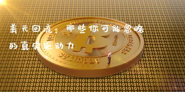 美元回流：那些你可能忽略的真实驱动力_https://wap.sdxiaoxijinshu.com_期货_第1张