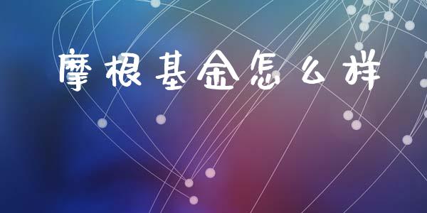 摩根基金怎么样_https://wap.sdxiaoxijinshu.com_理财_第1张