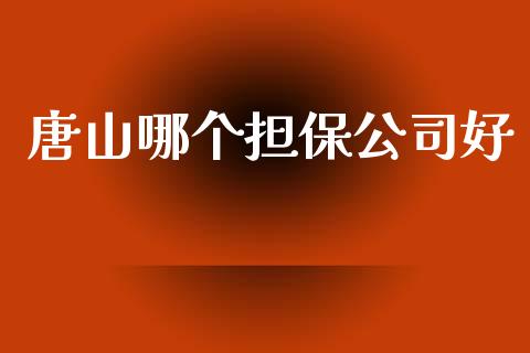 唐山哪个担保公司好_https://wap.sdxiaoxijinshu.com_理财_第1张