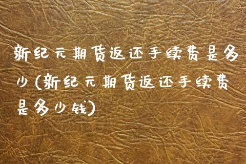 新纪元期货返还手续费是多少(新纪元期货返还手续费是多少钱)_https://wap.sdxiaoxijinshu.com_理财_第1张