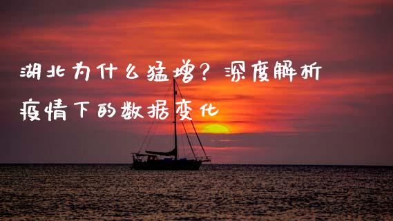 湖北为什么猛增？深度解析疫情下的数据变化_https://wap.sdxiaoxijinshu.com_理财_第1张