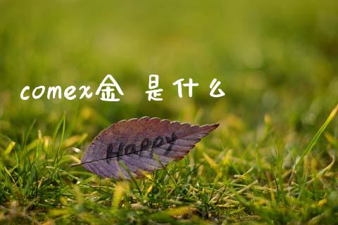comex金 是什么_https://wap.sdxiaoxijinshu.com_期货_第1张